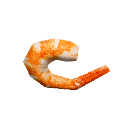 shrimp
